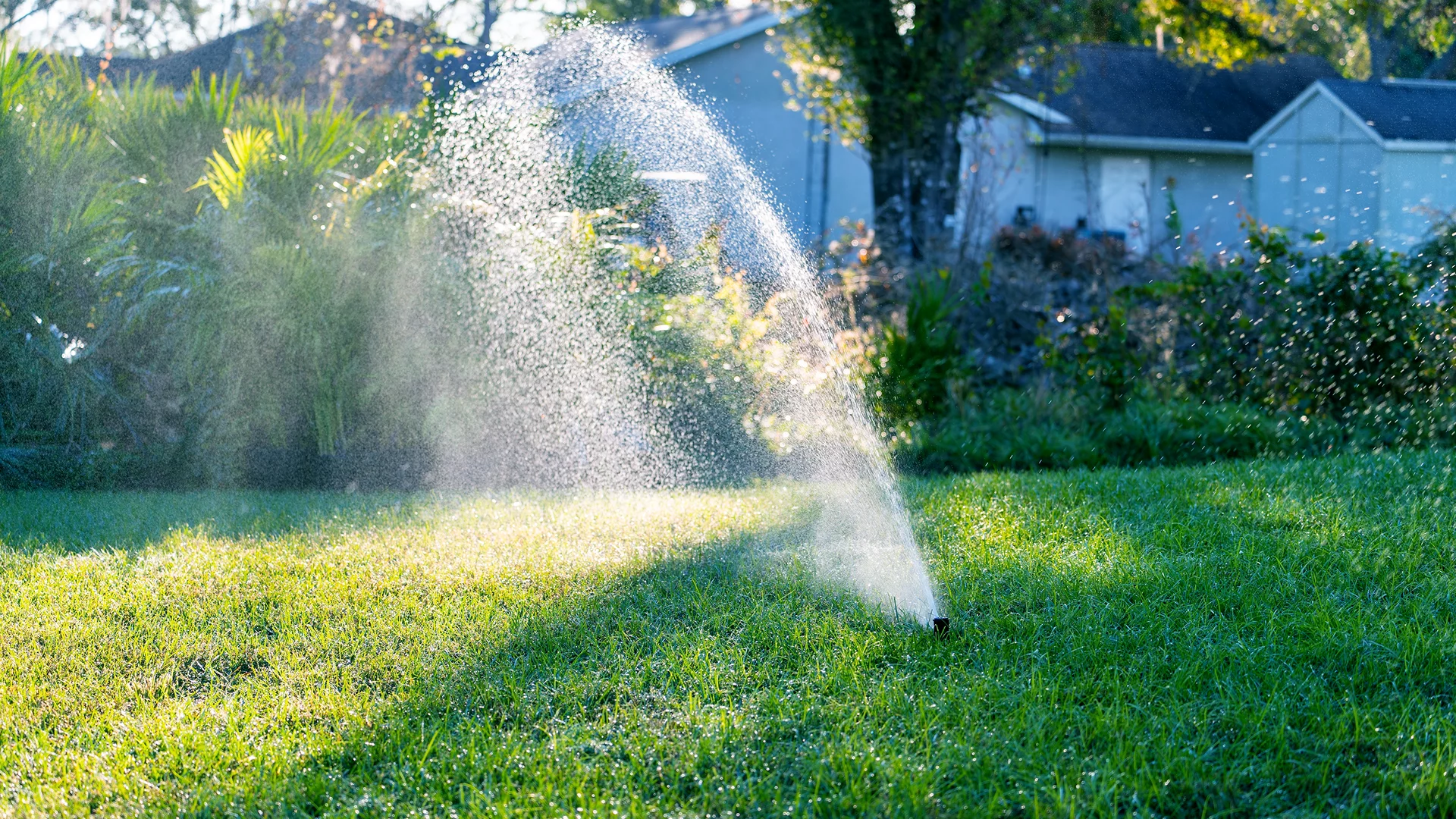Irrigation Leak Detection: 7 Tips to Prevent Water Loss