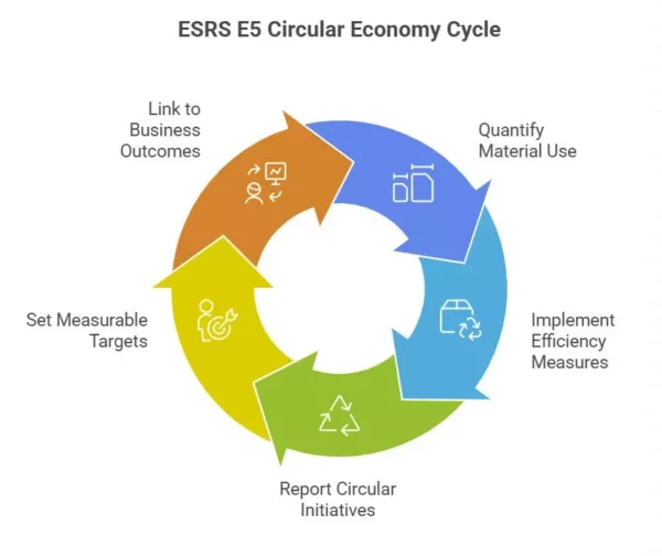 ESRS Circular Economy Cycle