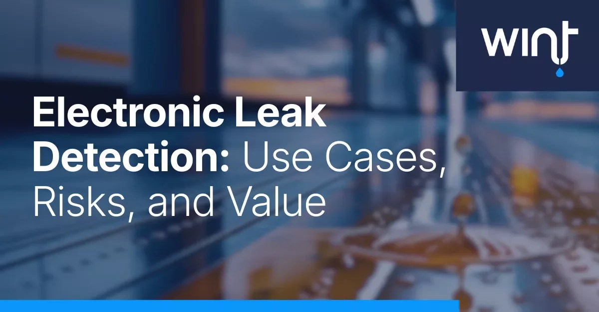 Electronic Leak Detection: Use Cases, Risks, and Value